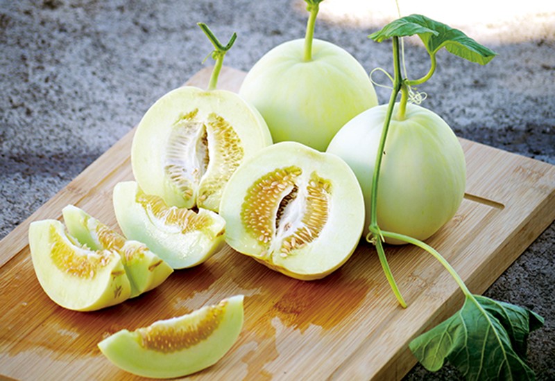 Kiểm tra kích thước và hình dáng