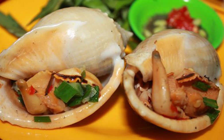 Thông tin chung về sò mông