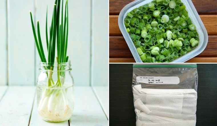 Các Bước Sơ Chế Để Bảo Quản Hành Lá