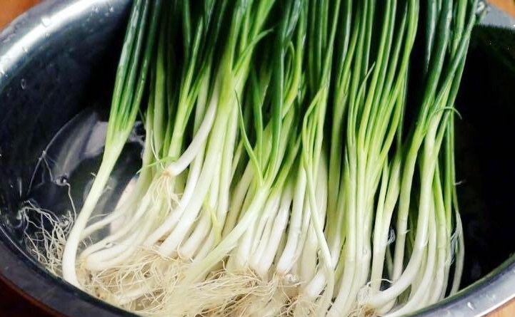 Tại Sao Hành Lá Dễ Hỏng?