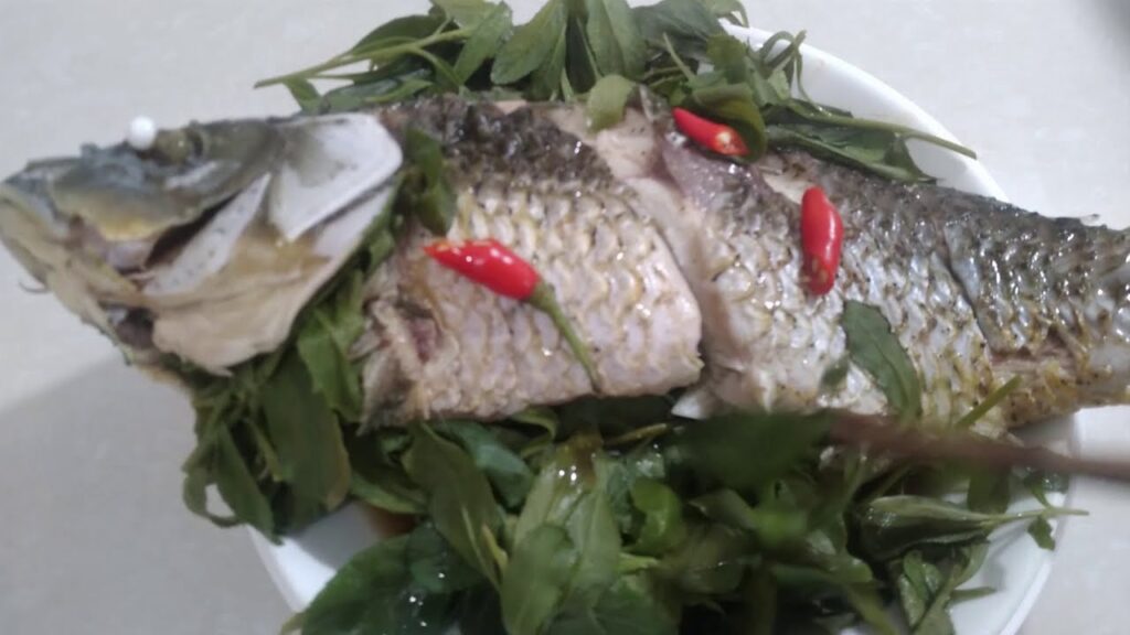 Công dụng của cúc tần trong y học cổ truyền
